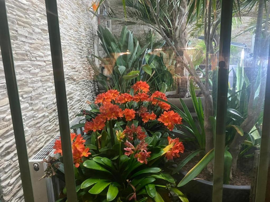 Wilsmann Apartmentvermietung Hövelhof Екстериор снимка